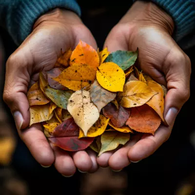 O Massam - Fatigue saisonnière et symbolique de l'automne